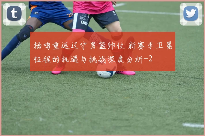 杨鸣重返辽宁男篮帅位 新赛季卫冕征程的机遇与挑战深度分析